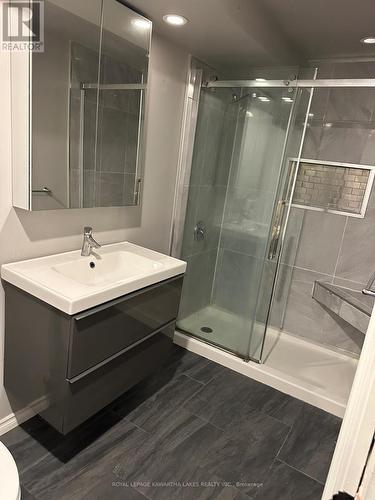 Lower Washroom - 1539 Cherryhill Road, Peterborough (Monaghan Ward 2), ON - Indoor Photo Showing Bathroom