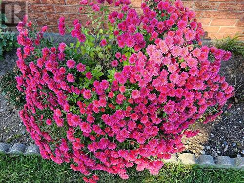 55 Penetangore Row S, Huron-Kinloss, ON - Outdoor