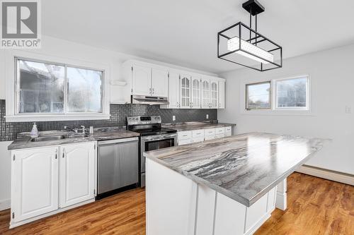 33 Second Street, Mount Pearl, NL - Indoor Photo Showing Kitchen With Double Sink