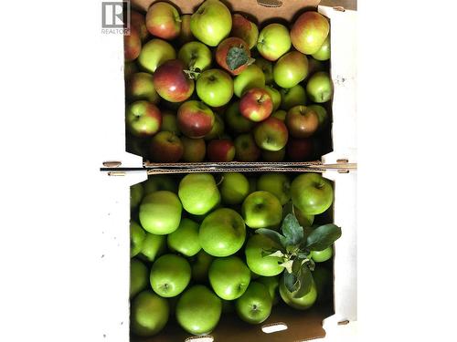 7630 97A Highway, Mara, BC 