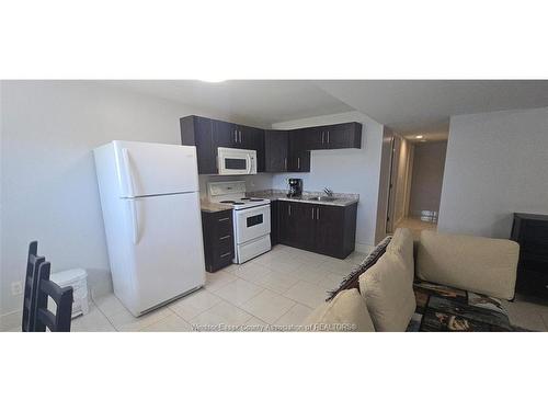 Lower-1551 Dobrich Street, Windsor, ON 