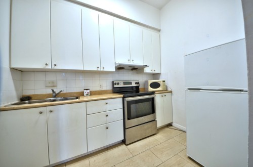 Cuisine - 1-1009 Boul. St-Laurent, Montréal (Ville-Marie), QC - Indoor Photo Showing Kitchen With Double Sink