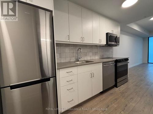 304 - 223 Princess Street, Kingston (East Of Sir John A. Blvd), ON - Indoor Photo Showing Kitchen