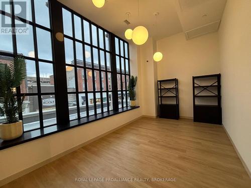 304 - 223 Princess Street, Kingston (East Of Sir John A. Blvd), ON - Indoor Photo Showing Other Room