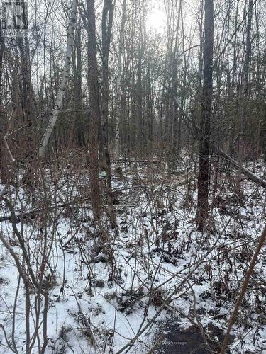 0 Wolford Centre Road, Merrickville-Wolford, ON 