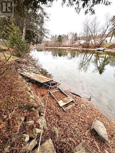 3 Anson Street, Minden Hills (Lutterworth), ON - Outdoor With Body Of Water
