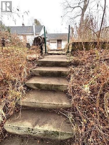 3 Anson Street, Minden Hills (Lutterworth), ON - Outdoor