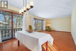 Expansive Window Wall - 