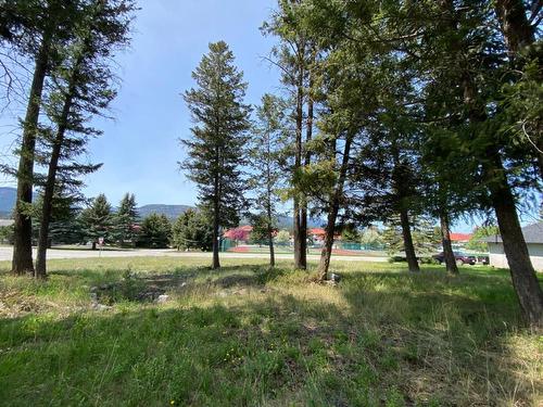 Lot 59 Riverview Gate Road, Fairmont Hot Springs, BC - Outdoor With View