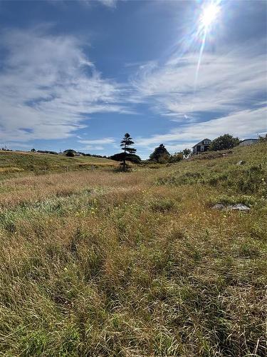 15 Main Street, Elliston, NL 