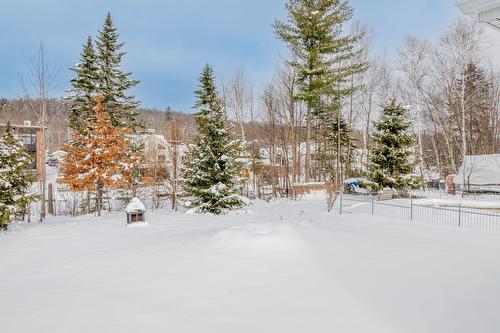 Backyard - 10 Rue De La Pointe-Aux-Bleuets, Fossambault-Sur-Le-Lac, QC - Outdoor With View