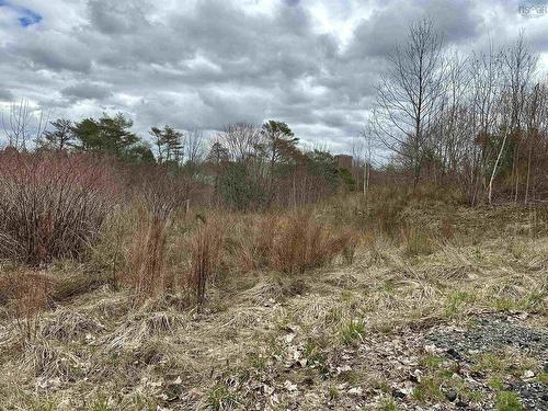 71 Wickwire Avenue, Wolfville, NS 