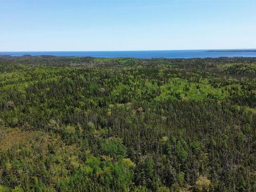 320 Highway, D'Escousse, NS 