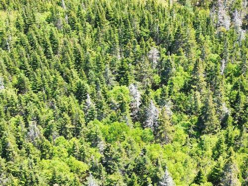 320 Highway, D'Escousse, NS 