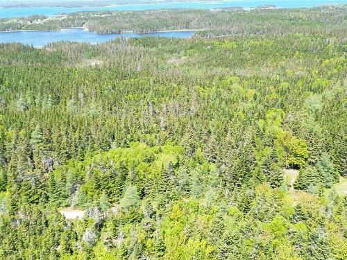 320 Highway, D'Escousse, NS 