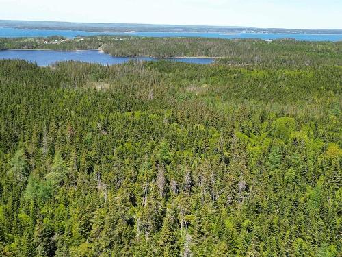 320 Highway, D'Escousse, NS 