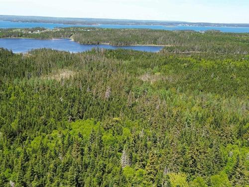 320 Highway, D'Escousse, NS 