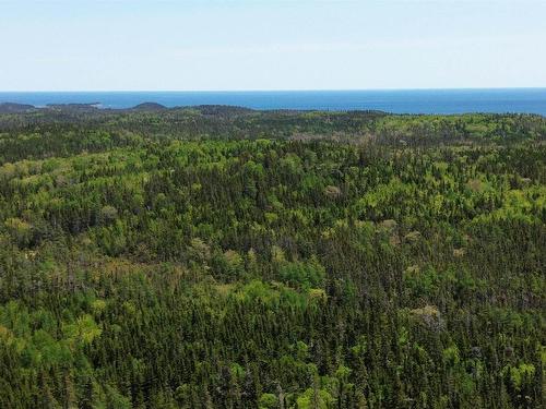 320 Highway, D'Escousse, NS 