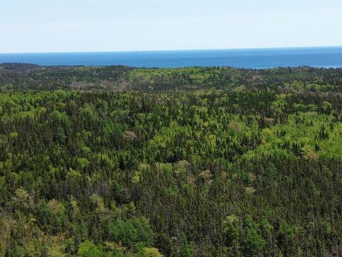 320 Highway, D'Escousse, NS 