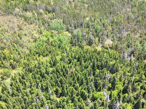 320 Highway, D'Escousse, NS 