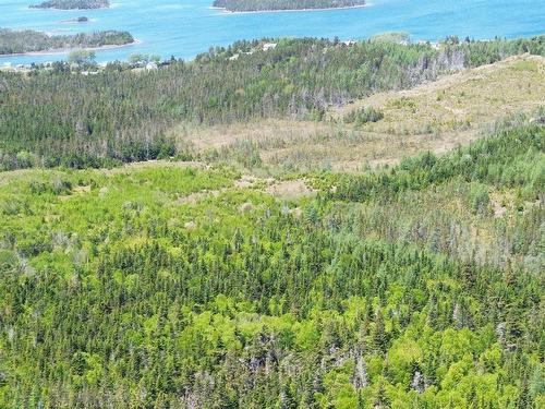 320 Highway, D'Escousse, NS 