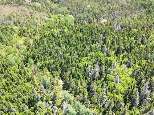 320 Highway, D'Escousse, NS 