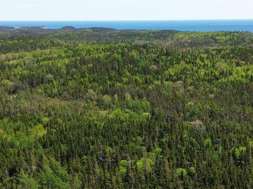 320 Highway, D'Escousse, NS 