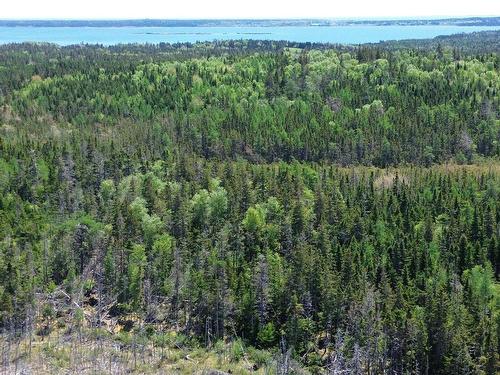 320 Highway, Poulamon, NS 