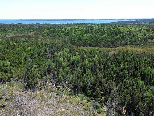 320 Highway, Poulamon, NS 