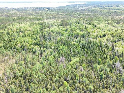 320 Highway, Poulamon, NS 