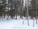 Lot 577 Forest Circle, Tiny, ON 