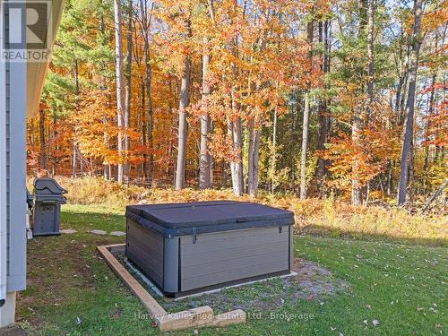 Rear yard with hot tub - 15 - 2054 Peninsula Road, Muskoka Lakes (Medora), ON - Outdoor