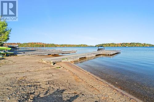 Shared waterfront with docks and beach - 15 - 2054 Peninsula Road, Muskoka Lakes (Medora), ON - Outdoor With Body Of Water With View