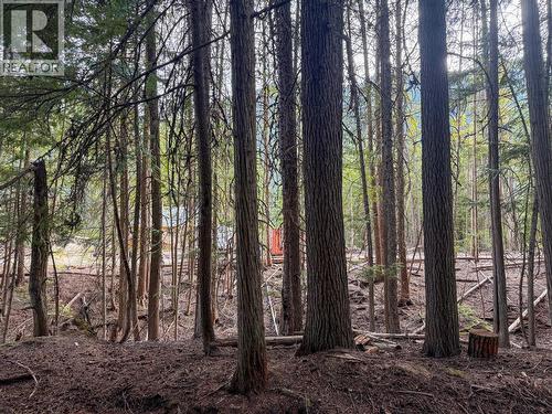 3945 Saunders Road, Passmore, BC 