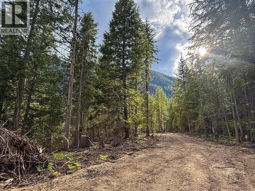 3945 Saunders Road, Passmore, BC 