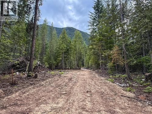 3945 Saunders Road, Passmore, BC 