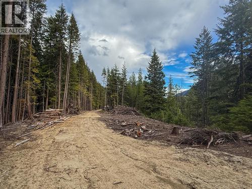 3945 Saunders Road, Passmore, BC 