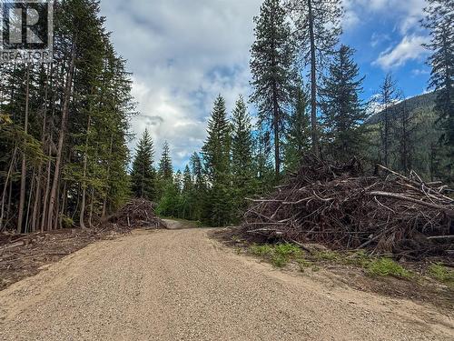 3945 Saunders Road, Passmore, BC 