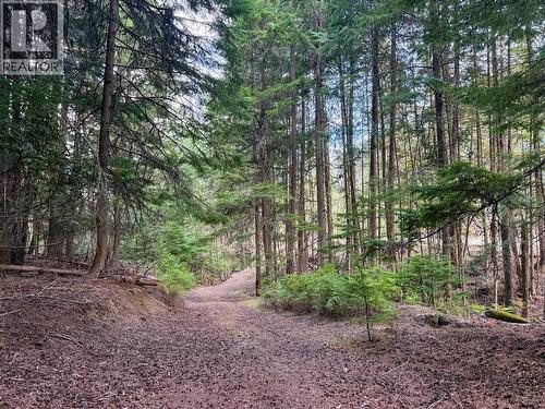 3945 Saunders Road, Passmore, BC 