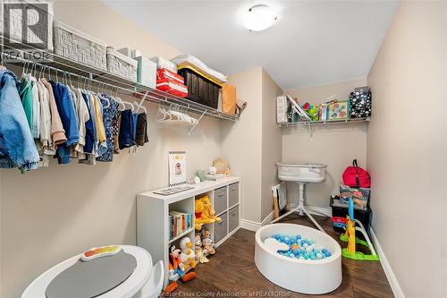 4523 Anderson, Lakeshore, ON - Indoor With Storage