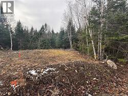 25-3 Spruce Lane  Damascus, NB E5N 4B7