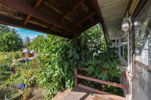 3390 Nikkei Pl, Cumberland, BC 