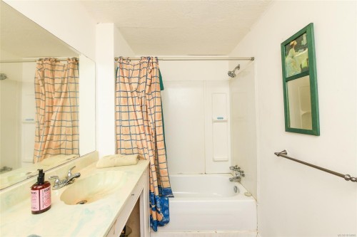 3390 Nikkei Pl, Cumberland, BC 