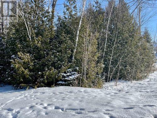 Front of vacant land - 0 Sumcot Drive, Trent Lakes, ON 