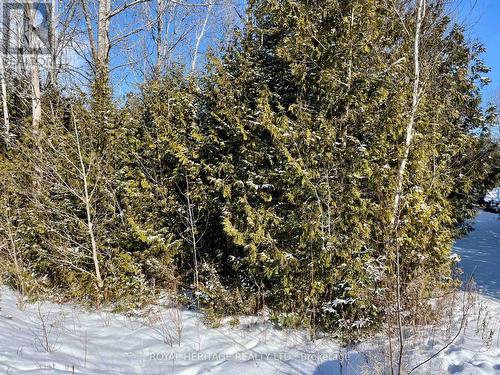 0 Sumcot Drive, Trent Lakes, ON 