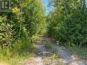 Entrance to vacant land - 0 Sumcot Drive, Trent Lakes, ON 