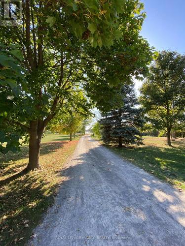 805 Ridge Road, Hamilton, ON 