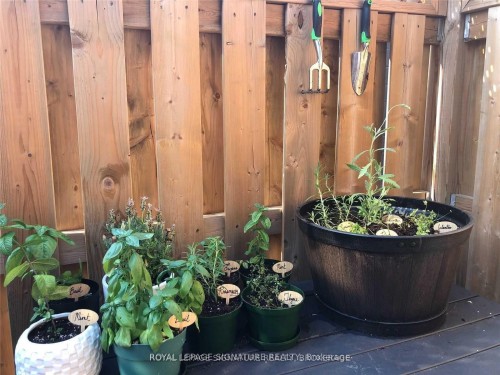 Lower-92 Mitchell Avenue, Toronto, ON - Indoor