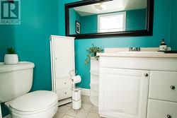 Bathroom in Lower Level - 