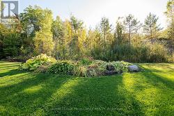 Beautiful landscaped backyard - 